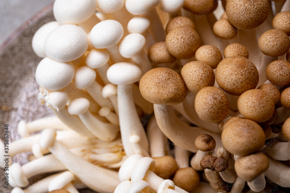 Fresh buna brown and bunapi white shimeji edible mushrooms from Asia, rich in umami tasting compounds such as guanylic and glutamic acid Fresh buna brown and bunapi white shimeji edible mushrooms from Asia, rich in umami tasting compounds such as guanylic and glutamic acid