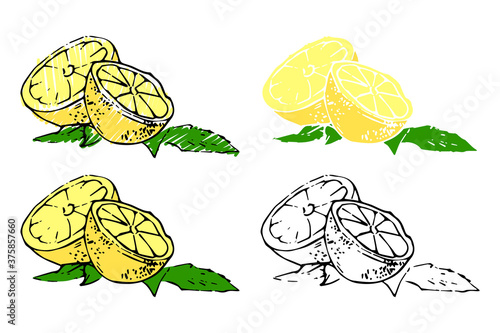 Set of lemon in vector. Health meal