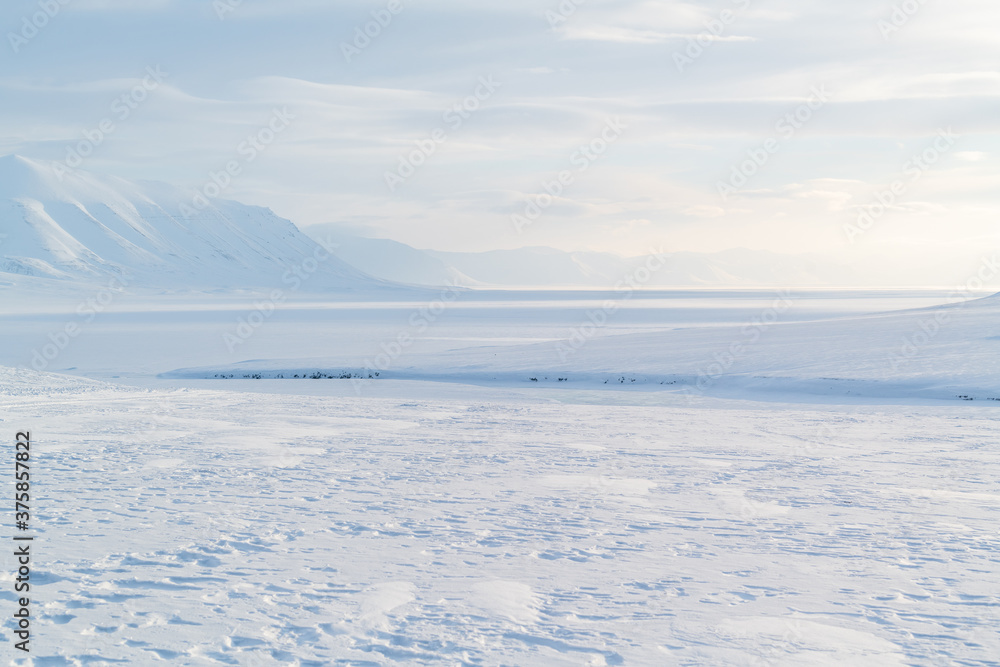 Svalbard winter - idyllic arctic scenery