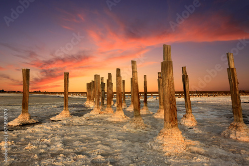 wooden pillars in dead salt sea