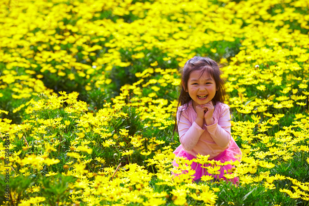 happy asian little girl in the flower field happy asian little girl in the flower field