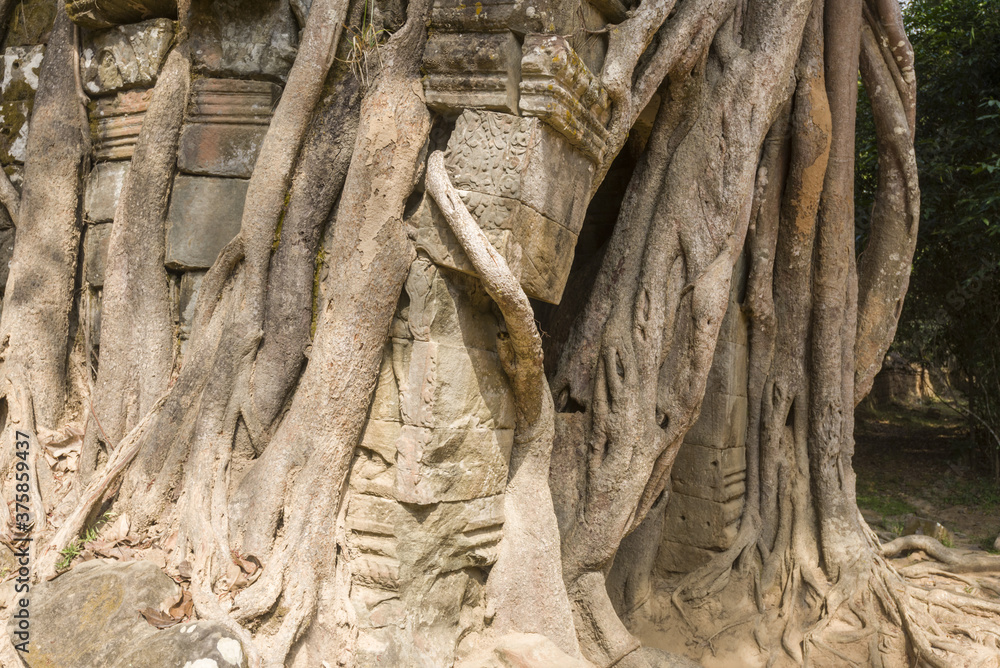main gateway of Ta Som with strangler fig