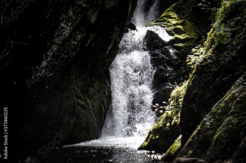 waterfall in the forest