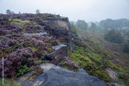 Misty Heather Moorland Cliff Edge