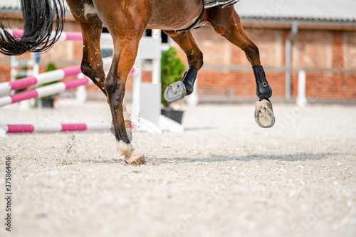 Detail of horse hooves from showjumping competition.