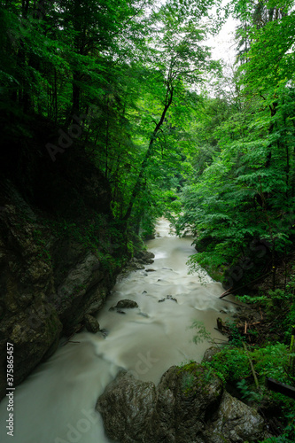  river in a nature reserve