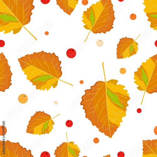 Autumn aspen leaves seamless pattern. Fall season ornament on white background.