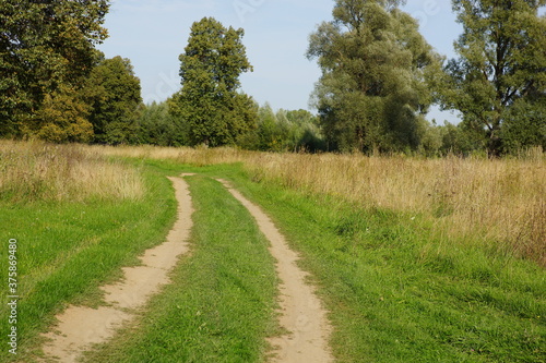 dirt road in the field