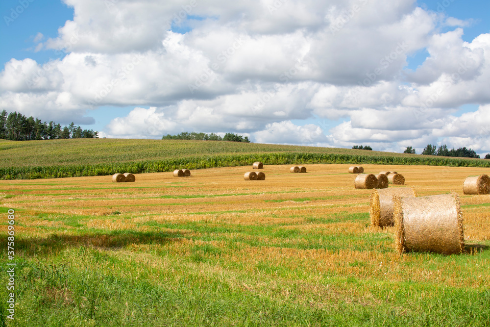 Fototapeta premium Hay bale. On a cleared field . Against the sky with clouds
