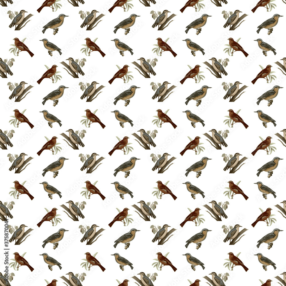 KTSP02 Birds Seamless Background Pattern illustration-Stock-Image-6000-6000 KTSP02 Birds Seamless Background Pattern illustration-Stock-Image-6000-6000