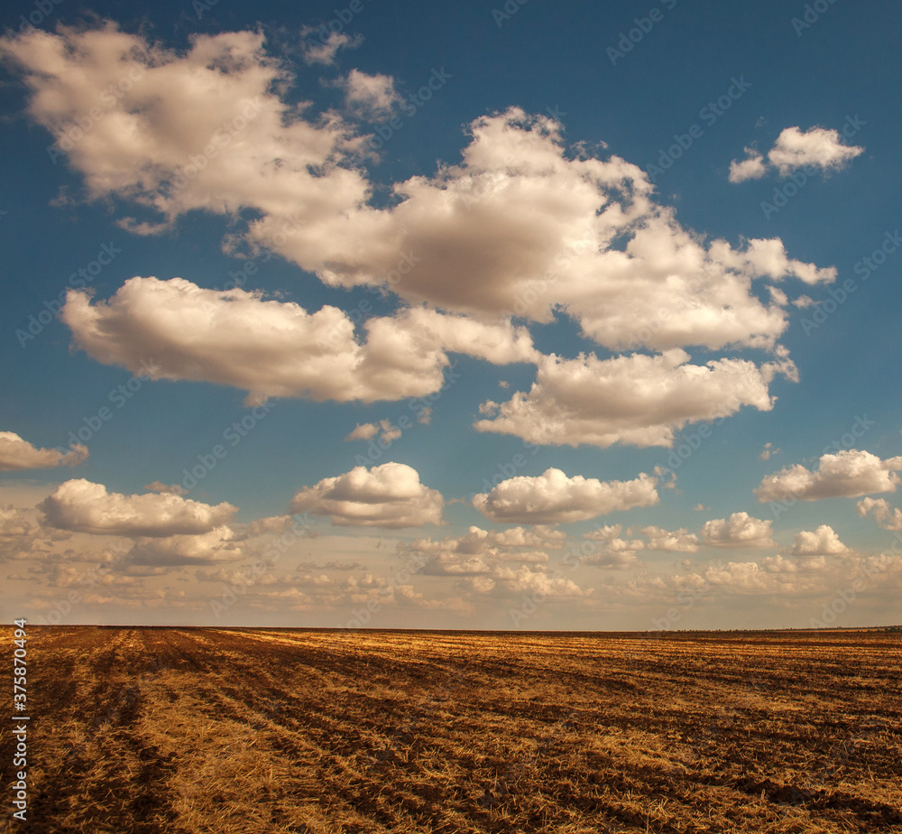 Empty plowed field of dry soil on background of sky with clouds