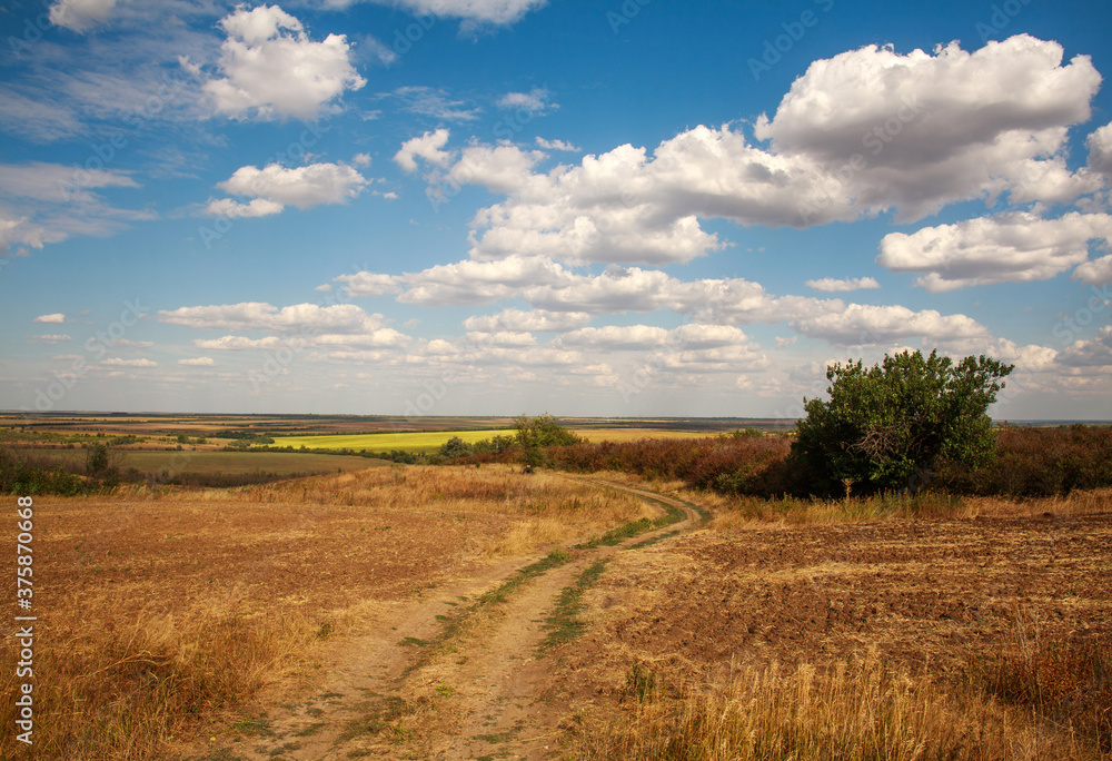Dirt road in countryside on background of fields and sky with clouds