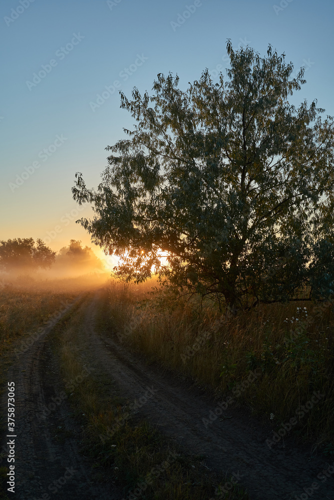 Fototapeta premium Autumn time. Dawn over the river in a misty, brooding haze. Beautiful view of the forest and river, covered with fog in the early morning. The sun's rays of light. September.