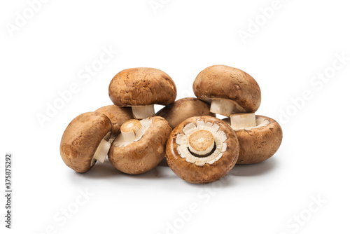 Tasty mushroom isolated on white background.