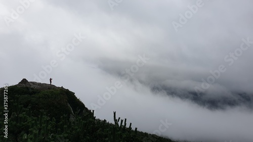 Wallpaper Mural fog over the mountains Torontodigital.ca