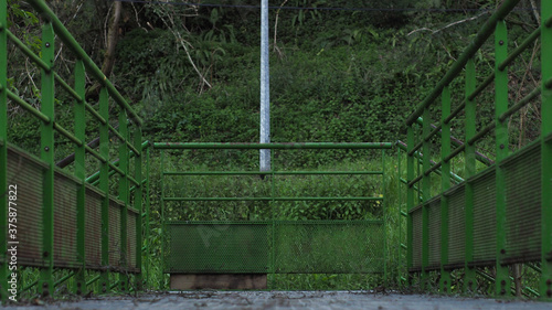 Passerelle aux barreaux verts, enjambant un ruisseau, dans le Gers photo