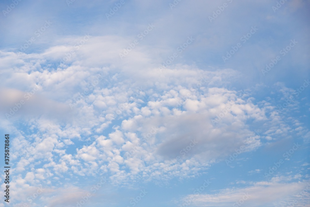 Fototapeta premium Cirrocumulus clouds in the light blue sky background