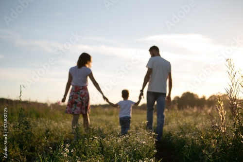 Young family walking on the field with a child