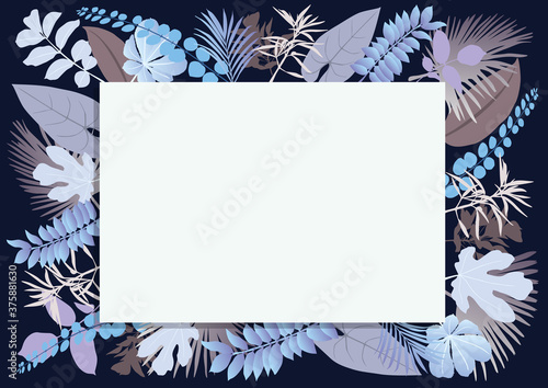 Cartouche vierge de couleur blanche, entouré de différents types de feuilles, pour servir d’arrière-plan à une présentation sur le thème de l’hiver ou des fêtes de noël.