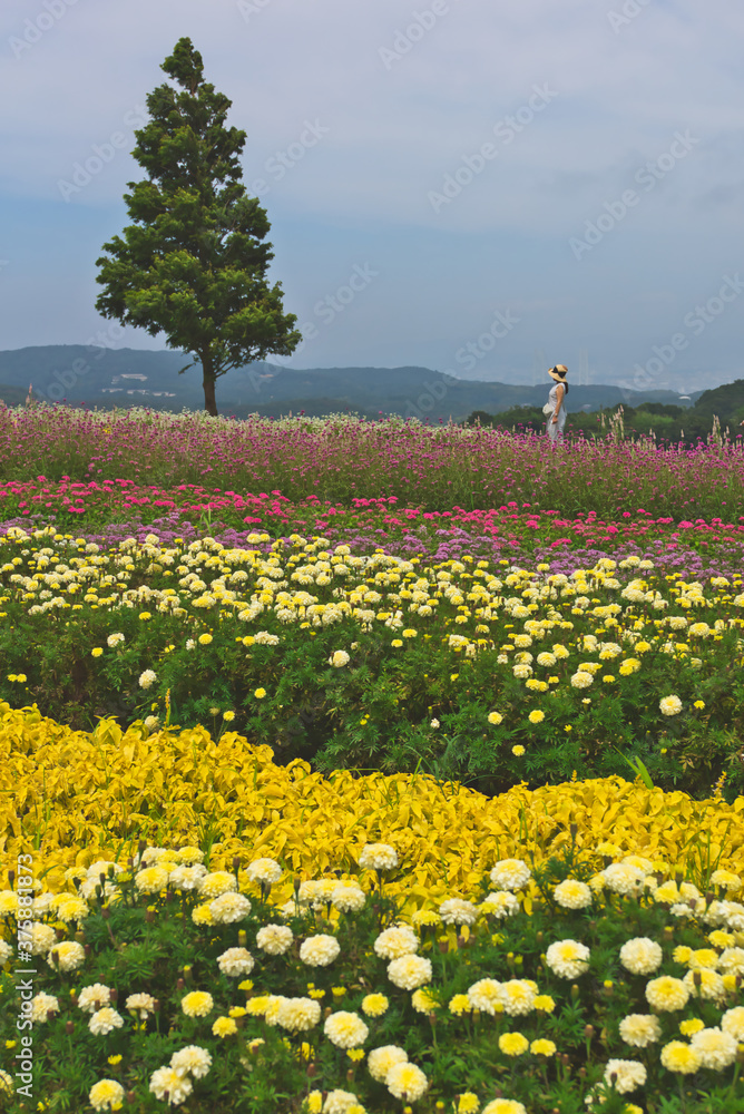 Fototapeta premium a woman in the follower garden