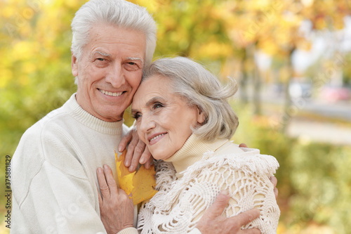 Beautiful senior couple embracing in the park