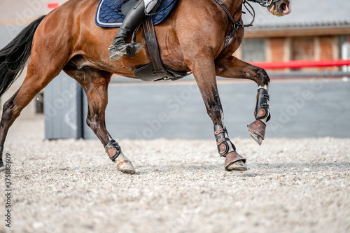 Detail of horse hooves from showjumping competition.