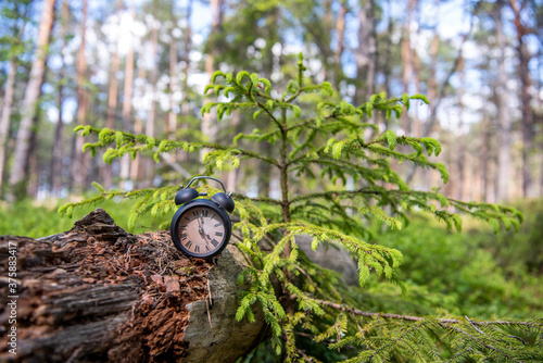 Retro alarm clock in green forest. Abstract photo of time.