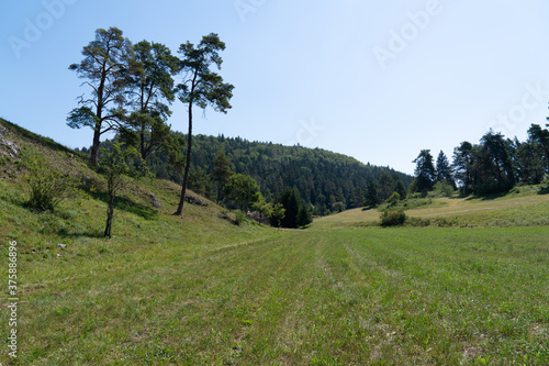 Donautal Landschaft, Wiese mit Felsen