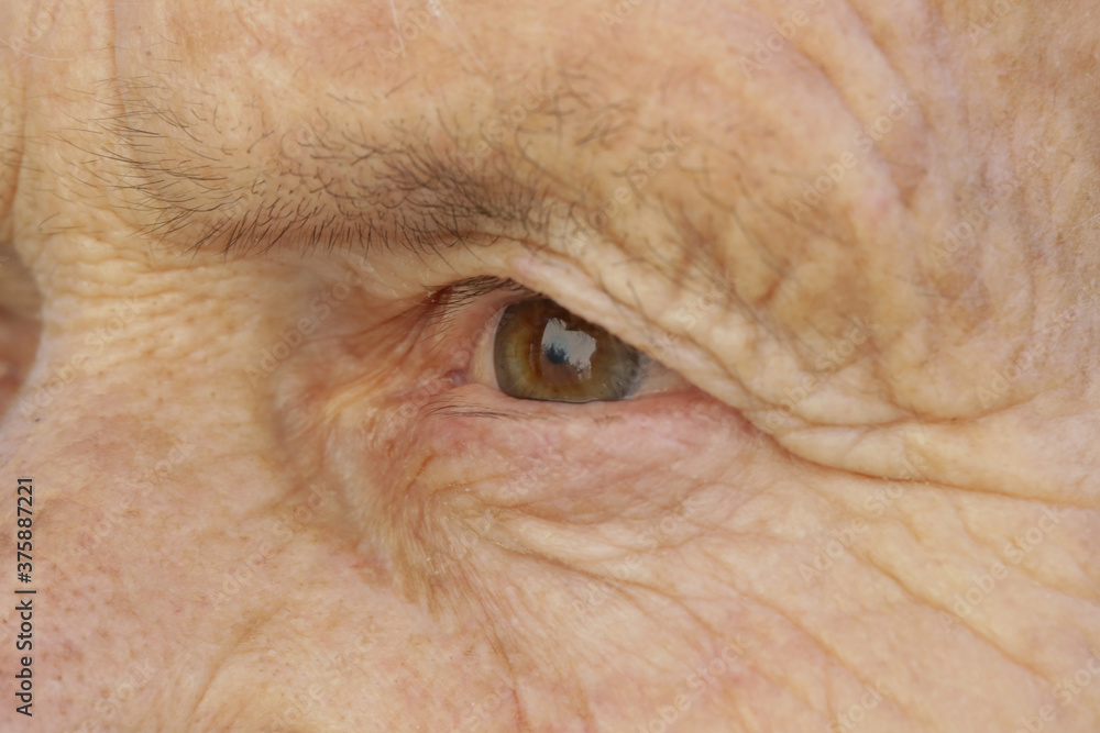 Obraz premium Close up image of eyes of elderly woman 