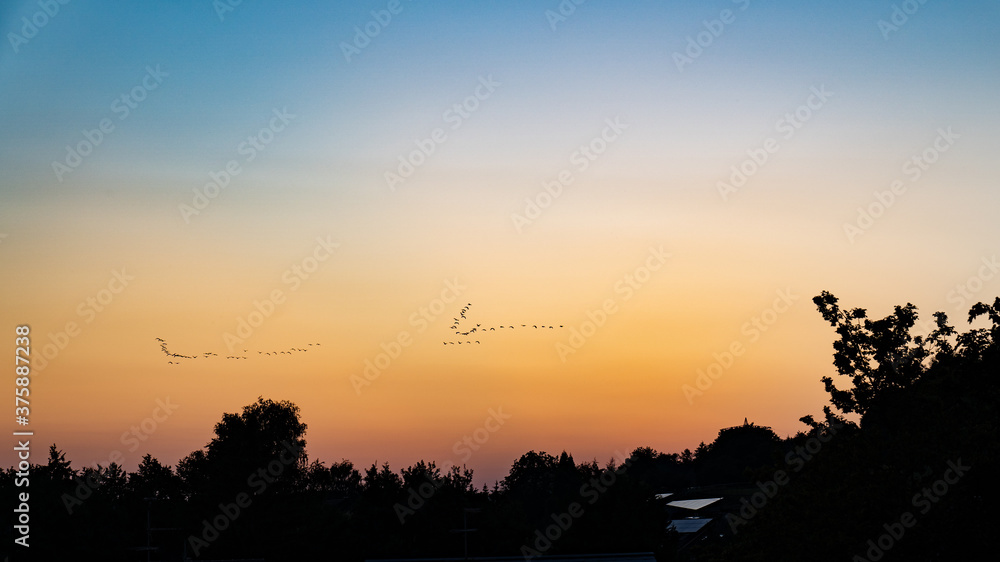 Sonnenuntergang, Wolken, Silhoutte, Abendstimmung, romantisch, Baum, Baumsilhoutte, Himmel, feuerrot, Abenddämmerung