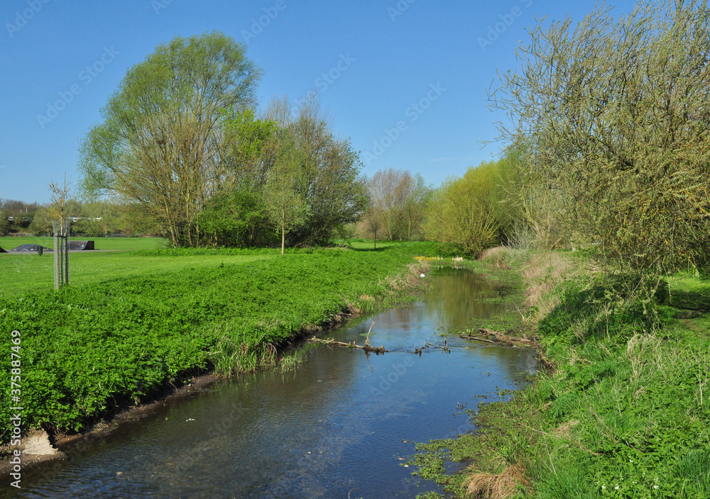 River Purwell, Hertfordshire