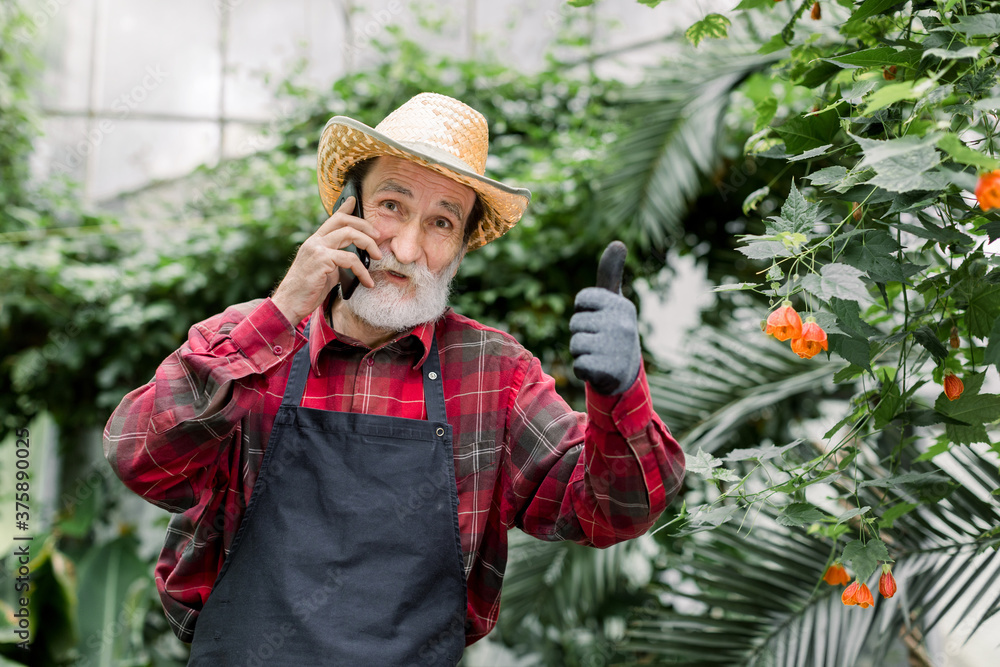 Portrait of senior man gardener, wearing straw hat, red checkered shirt and apron, standing near exotic plants and palms in greenhouse, talking phone and showing his thumb up