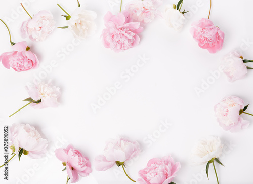 Fototapeta Naklejka Na Ścianę i Meble -  Border frame of pink and white peony isolated on white background. Top view. Frame of flowers. Floral background