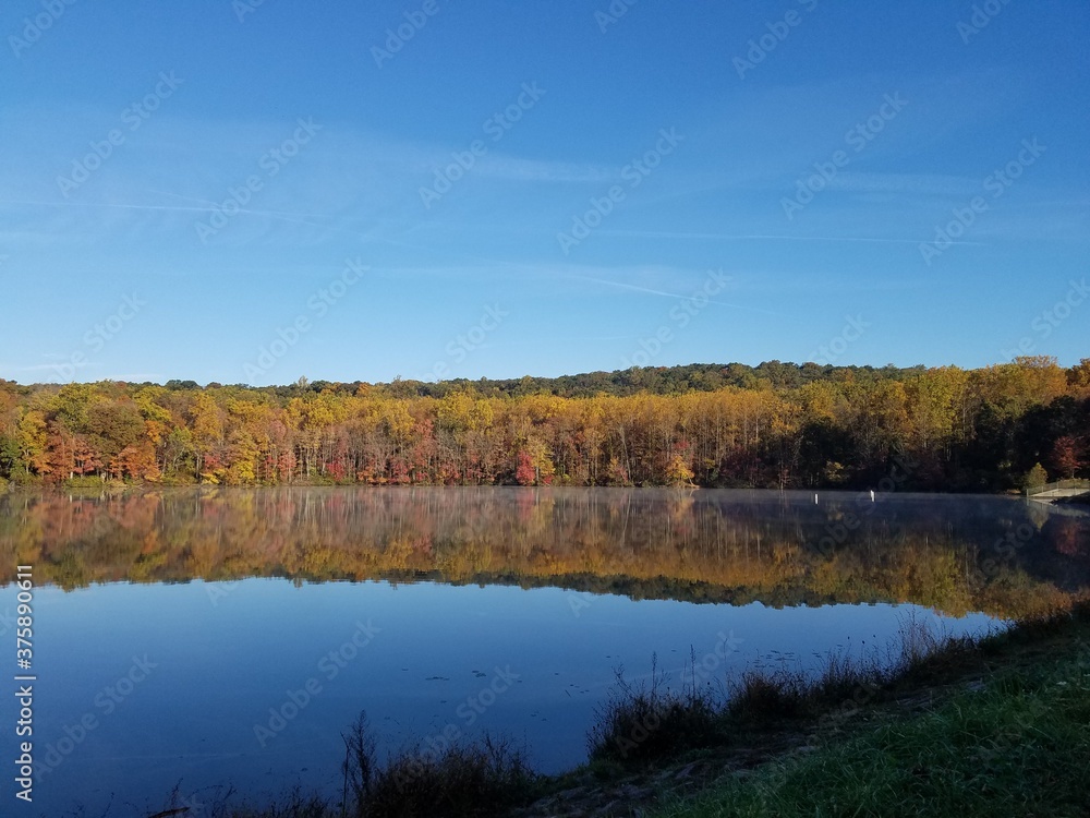 autumn in the park