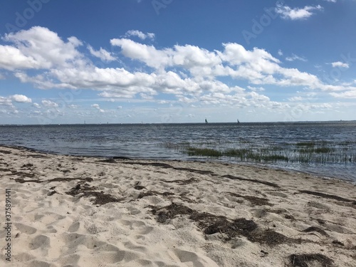 Littoral 1
