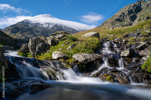 in der Schweiz gro  er sankt Bernhard im Sommer