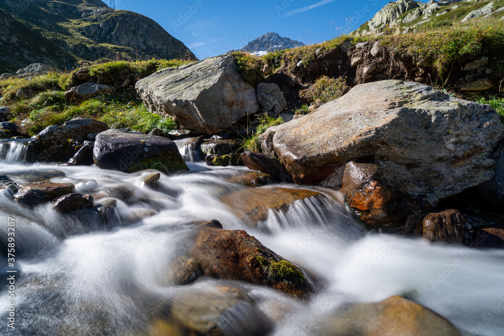 in der Schweiz großer sankt Bernhard im Sommer in der Schweiz großer sankt Bernhard im Sommer