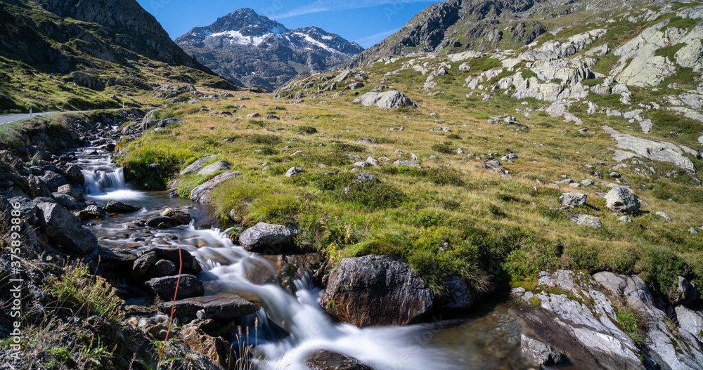 in der Schweiz großer sankt Bernhard im Sommer in der Schweiz großer sankt Bernhard im Sommer