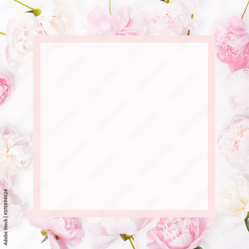 Romantic banner, delicate pink peonies flowers close-up. Fragrant pink petals