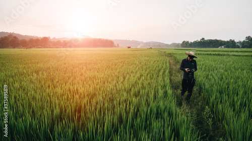 A male farmer is standing with a camera. At rice fields in the north of Thailand