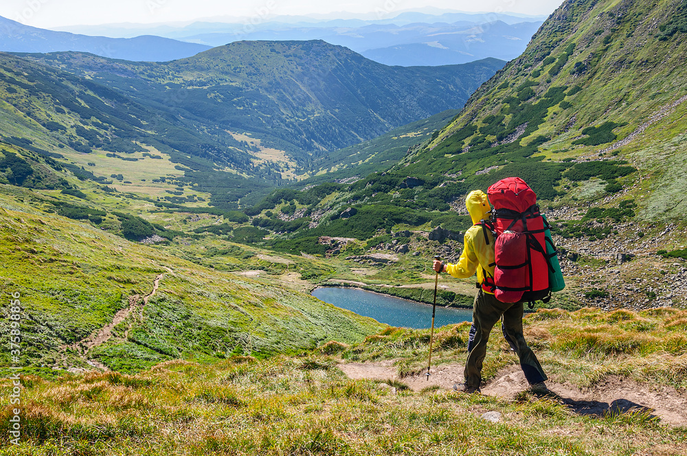  A sports man with a large backpack and trekking poles in his hands walks along a mountain trail in the Carpathian Mountains. Ukraine