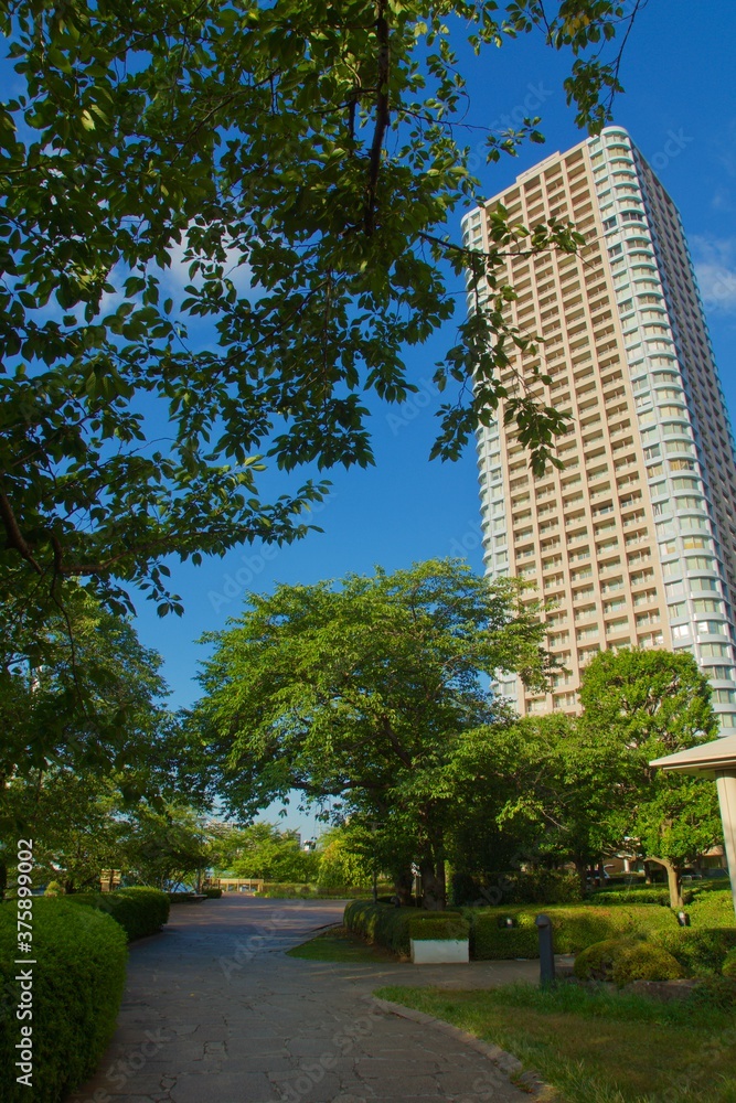 Obraz premium 佃公園の遊歩道 石川島公園へ