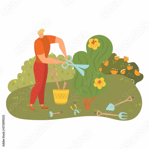 Man work near tree, people engaged gardening, cartoon young gardener, cut greenery, design, cartoon style vector illustration. Happy worker tools, pruning scissors street, bush, vigorous activity.