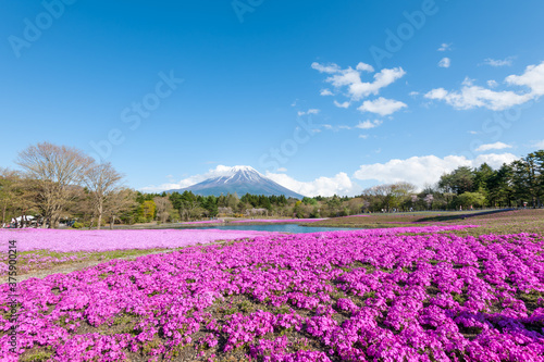  sacred Mount Fuji.