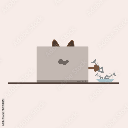 cat learn on the computer