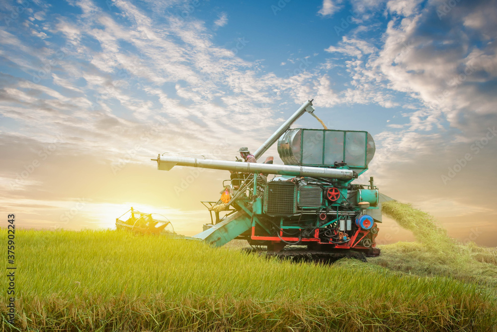 Obraz premium combine harvester working on a field