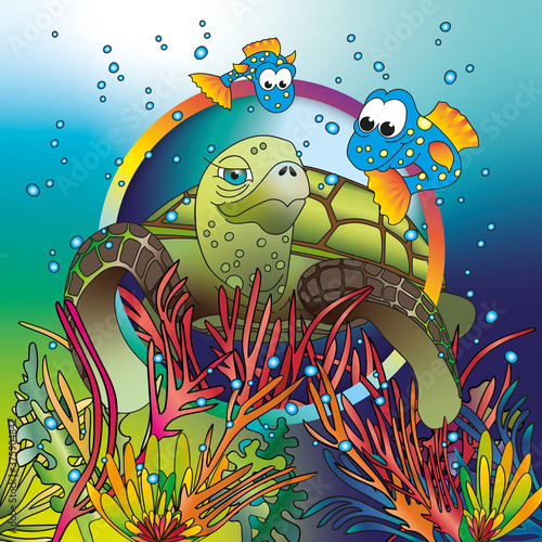 turtle in coral reef