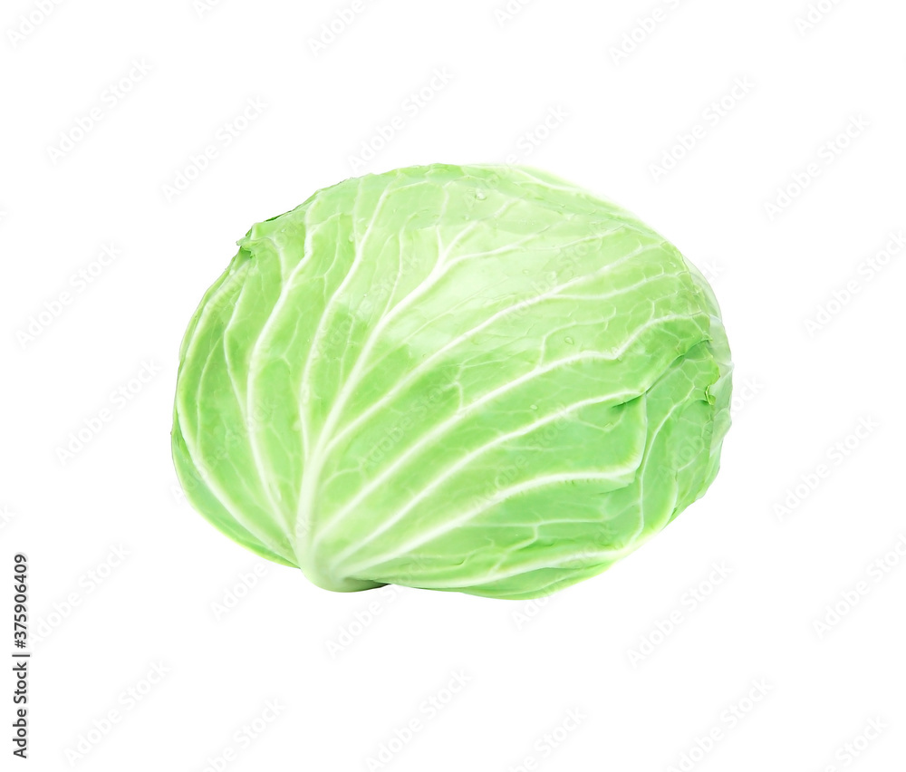 cabbage isolated on white background cabbage isolated on white background