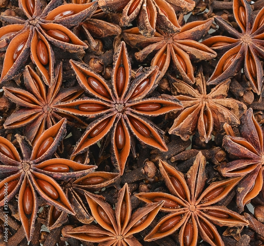 star anise spice isolated on a background star anise spice isolated on a background