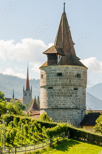 Stadt Zug, Stadt, Zug, Altstadt, Stadtmauer, Kapuzinerturm, St. Michael, Kirche, Guggi, Rosengarten, Weinberg, Altstadthäuser, Zugersee, Sommer, Berge, Schweiz photo